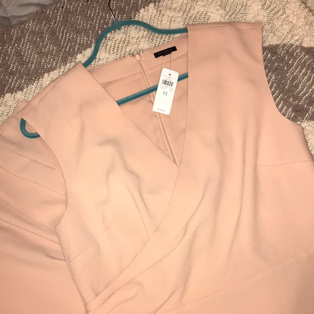 Ann Taylor NWT Blush Dress